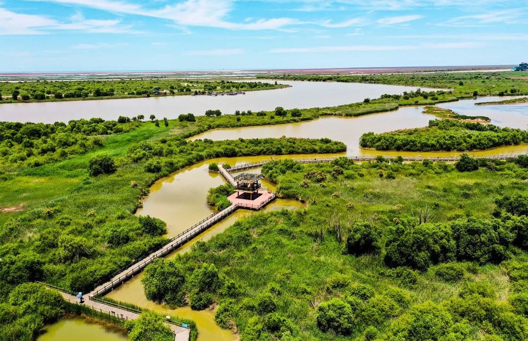 黃河口生態旅游區