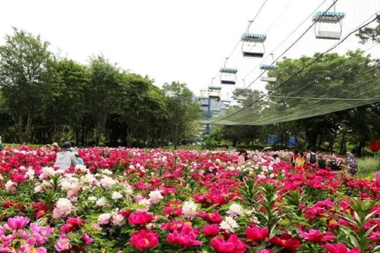 果川首爾大公園