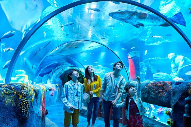 Sea Life海洋探索館