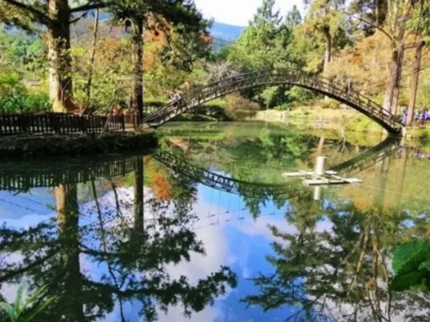 溪頭森林樂園~大學池