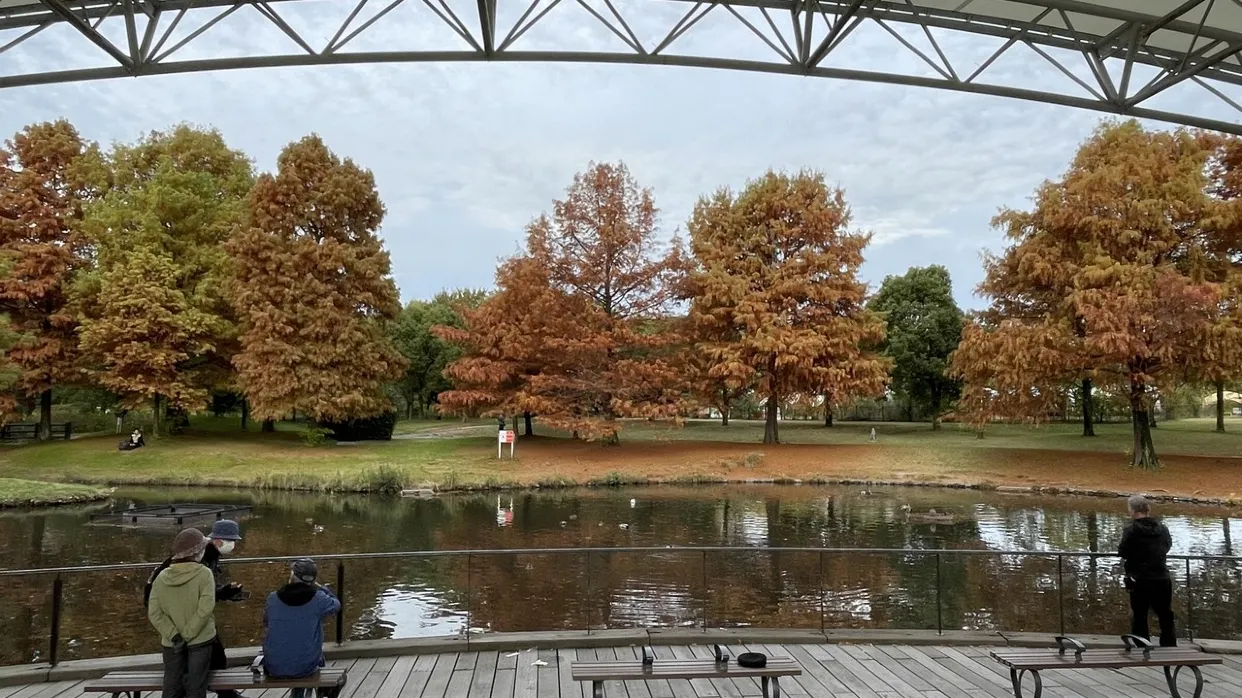 花博紀念公園鶴見綠地_秋