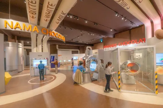 ROYCE' CACAO & CHOCOLATE TOWN