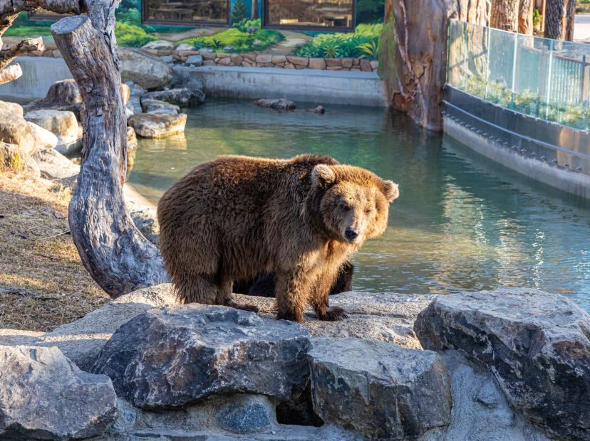 清遠長隆國際旅遊度假區