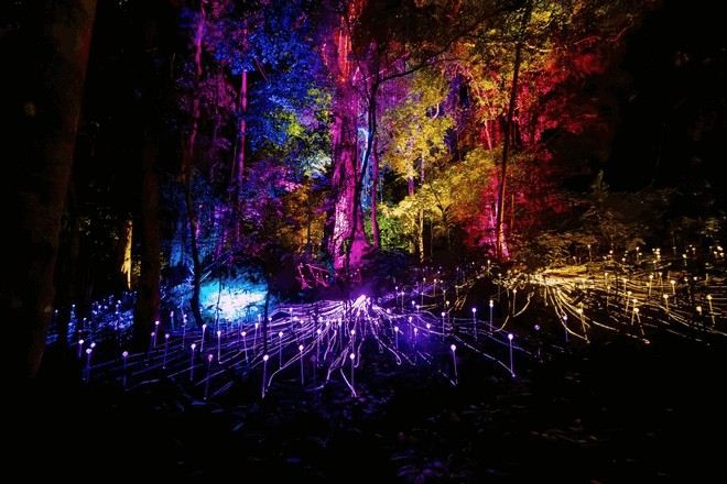 蘭卡威夢幻森林體驗 Dream Forest 