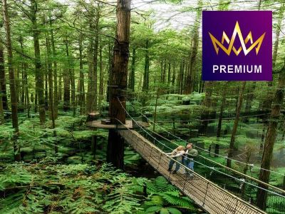 【國泰直航】聖誕精選~新西蘭南北島9天直航團《聖誕出發：12月25日》踏足瓦納卡薰衣草農場打卡夢幻紫色花海/前往水果小鎮美譽之稱的克倫威爾，體驗即摘新鮮時令水果/乘坐橡皮艇遊冰河湖，觀賞到冰河的壯觀