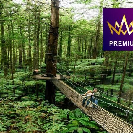 【國泰直航】聖誕精選~新西蘭南北島9天直航團《聖誕出發：12月25日》踏足瓦納卡薰衣草農場打卡夢幻紫色花海/前往水果小鎮美譽之稱的克倫威爾，體驗即摘新鮮時令水果/乘坐橡皮艇遊冰河湖，觀賞到冰河的壯觀