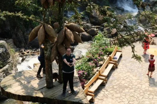 Cat Cat 民族村 - 愛情樹