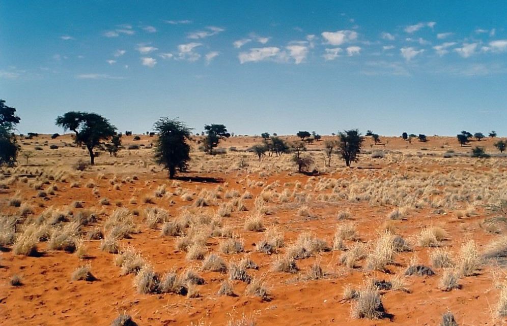 卡拉哈里沙漠盆地
