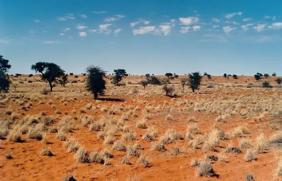 卡拉哈里沙漠盆地