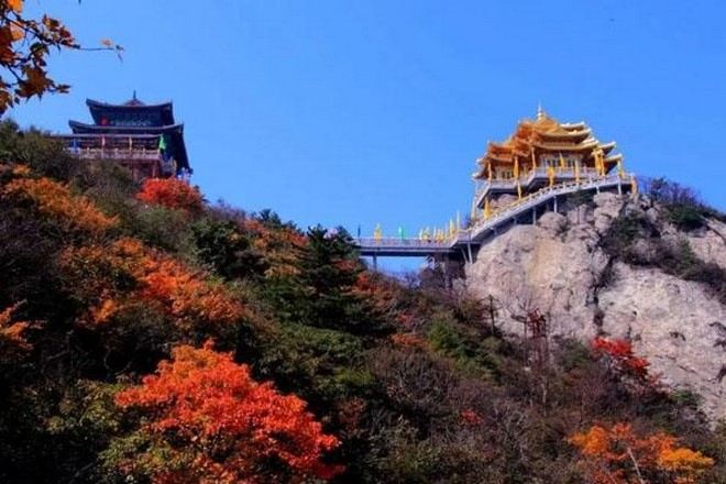 10月20-11月10日出發增遊老君山風景區賞紅葉