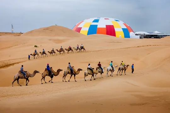 響沙灣騎駱駝
