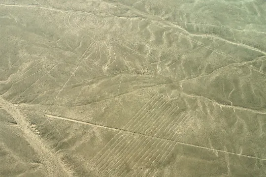 納斯卡神秘線條