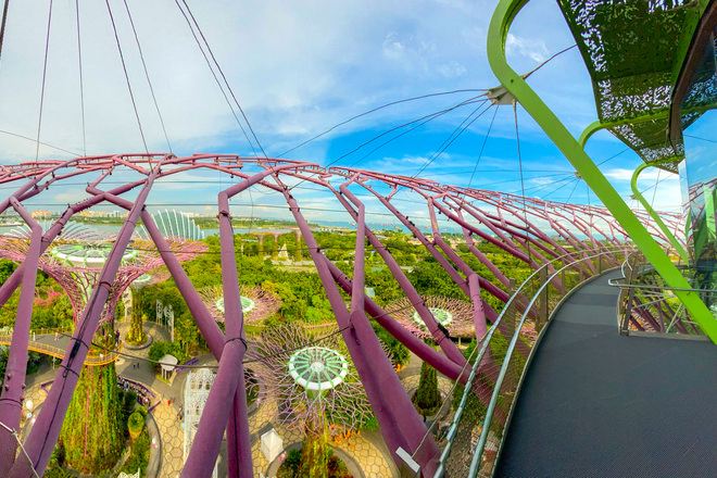 擎天樹觀景台Supertree Observatory