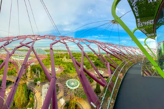 擎天樹觀景台Supertree Observatory