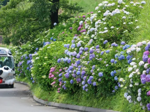 《親子人氣景點》Mother牧場