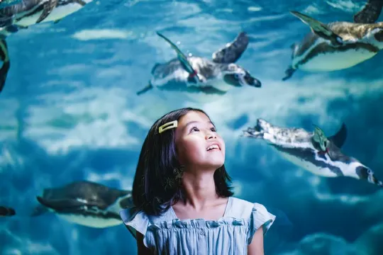 DMM Kariyushi 水族館