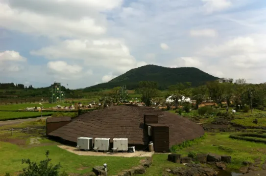 茶喜然綠茶園洞穴咖啡室