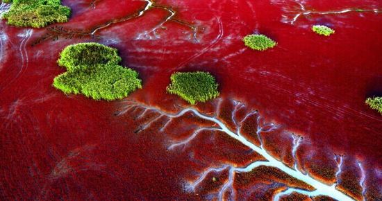 紅海灘國家風景廊道