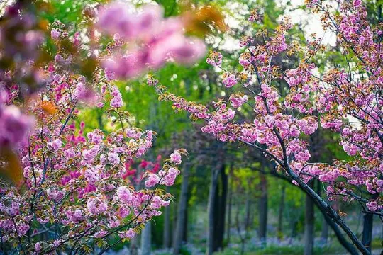 紅葉谷生態文化旅遊區