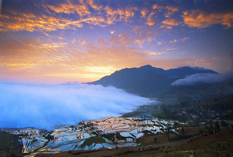 多依樹梯田景區