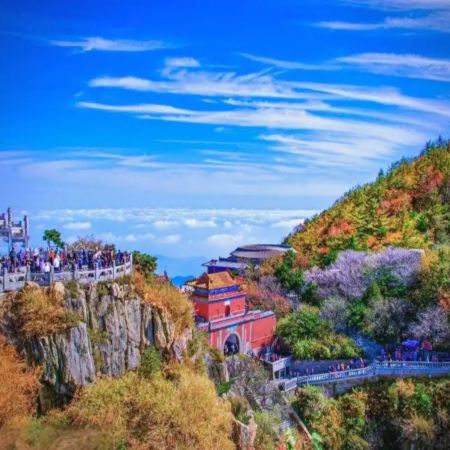 【5鑽】【皇牌】山東‧青島、泰安、濟南、東營6天純玩之旅 黃河口生態旅遊區(十萬鳥浪回巢、近距離觀看餵飼珍稀雀鳥)、五嶽之首泰山、濟南大明湖畫舫、泉水下午茶、凱賓斯基酒店53層雲端早餐、雲上海天觀光廳