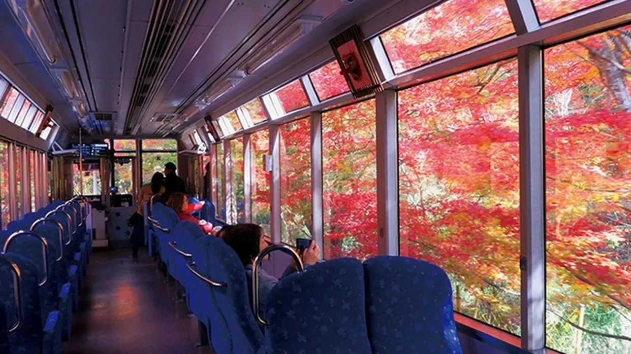 叡山紅葉列車