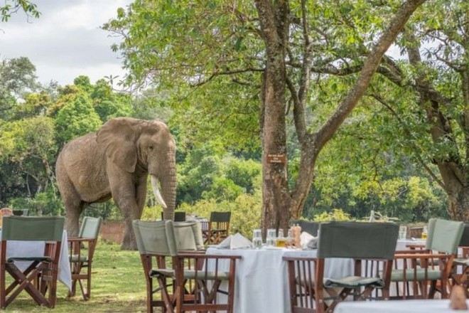 Main Governor's Camp