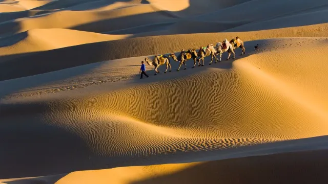 庫布其沙漠~響沙灣