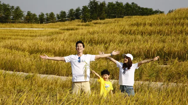 田家舍生態農場