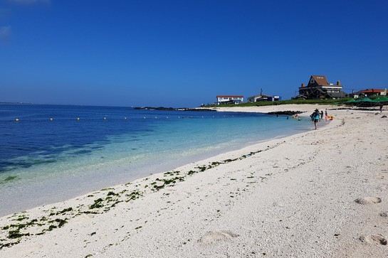 「牛島」遊~西濱白沙