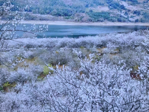 《冬日溫泉+冰雪世界+梅花節+高鐵》新豐溫德姆花園酒店(獨立露台溫泉泡池房+無限次浸泡溫泉)+廣州增城凱悅酒店 四季果園(任摘任食砂糖橘) 2晚享用【酒店自助晚餐】廣州新豐冬日美景純玩3天團