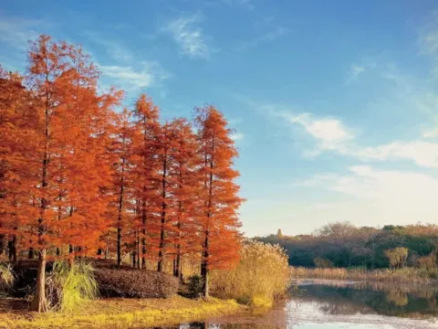 長廣溪國家濕地公園