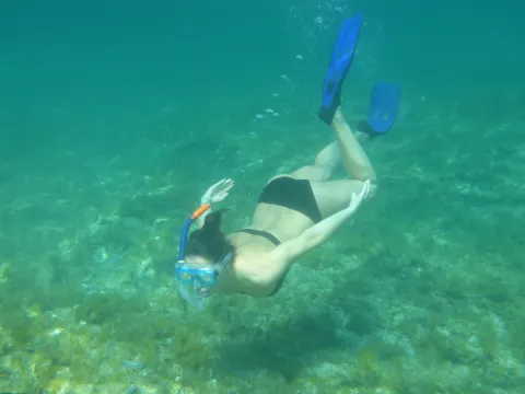 沙比島 (包徒手潛水)