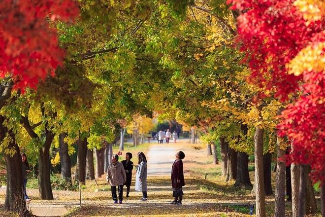 羅州森林研究所