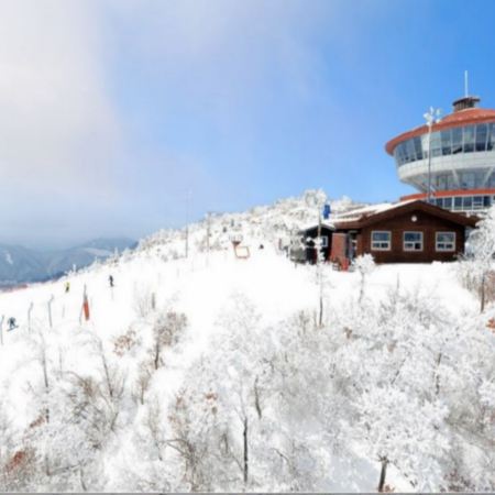 江原道+首爾 冬日滑雪5天之旅 ※【High1 Resort +冬日滑雪體驗+觀光纜車～Mountain Top瞭望塔】、樂天世界+水族館、士多啤梨園、南怡島、The Painters新塗鴉秀