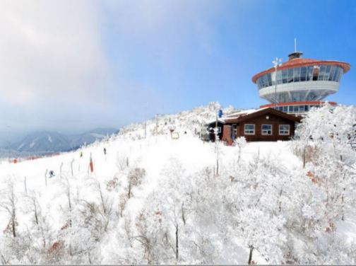 江原道+首爾 冬日滑雪5天之旅 ※【High1 Resort +冬日滑雪體驗+觀光纜車~Mountain Top瞭望塔】、樂天世界+水族館、士多啤梨園、南怡島、The Painters新塗鴉秀 江原道+首爾 冬日滑雪5天之旅 ※【High1 Resort +冬日滑雪體驗+觀光纜車~Mountain Top瞭望塔】、樂天世界+水族館、士多啤梨園、南怡島、The Painters新塗鴉秀