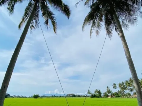 甘榜阿貢探索之旅