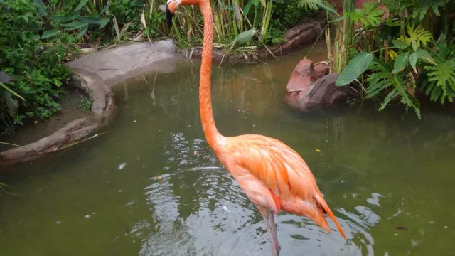 長鹿休閒度假農莊