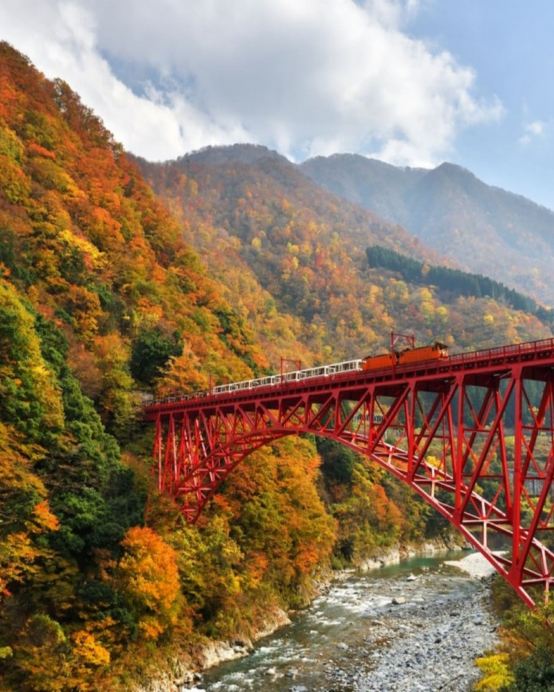 秋の立山黑部 6天紅葉見之旅  立山黑部(季節限定~紅葉+雪景、乘6種交通工具登山深度暢遊)、賞紅葉名所(「米芝蓮二星景點」永平寺、「日本三大名園」兼六園、「日本國寶級天守」彥根城)