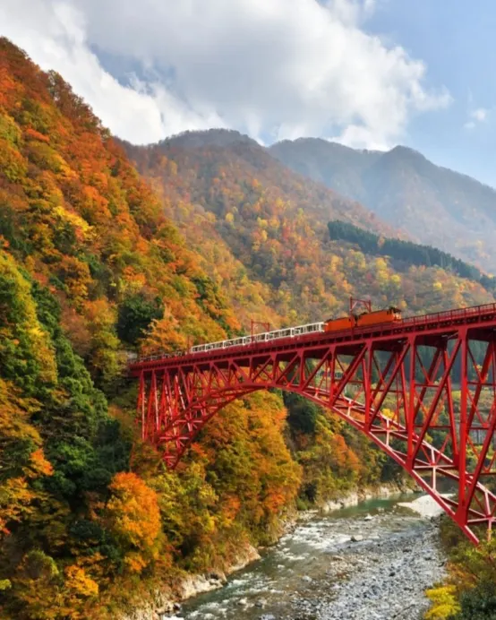 秋の立山黑部 6天紅葉見之旅 立山黑部(季節限定~紅葉+雪景、乘6種交通工具登山深度暢遊)、賞紅葉名所(「米芝蓮二星景點」永平寺、「日本三大名園」兼六園、「日本國寶級天守」彥根城)