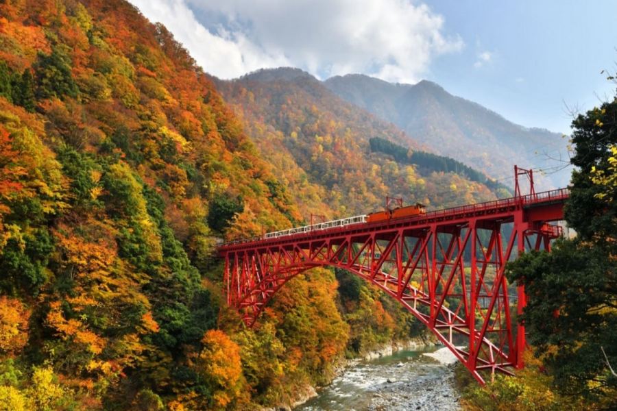 秋の立山黑部 6天紅葉見之旅 立山黑部(季節限定~紅葉+雪景、乘6種交通工具登山深度暢遊)、賞紅葉名所(「米芝蓮二星景點」永平寺、「日本三大名園」兼六園、「日本國寶級天守」彥根城)
