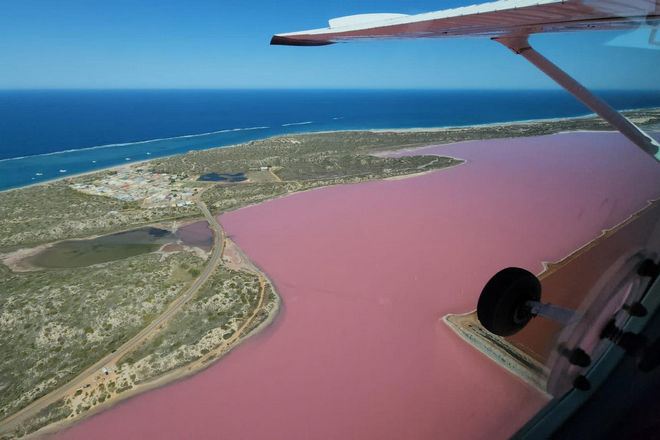 乘小型飛機高空俯瞰粉紅湖