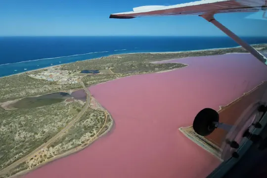 乘小型飛機高空俯瞰粉紅湖