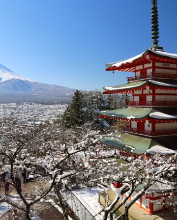 東京、茨城 冬日5天賞景之旅  大洗磯前神社、絕美海上鳥居~神磯之鳥居、「世界三大高佛像」牛久大佛、新倉富士淺間神社