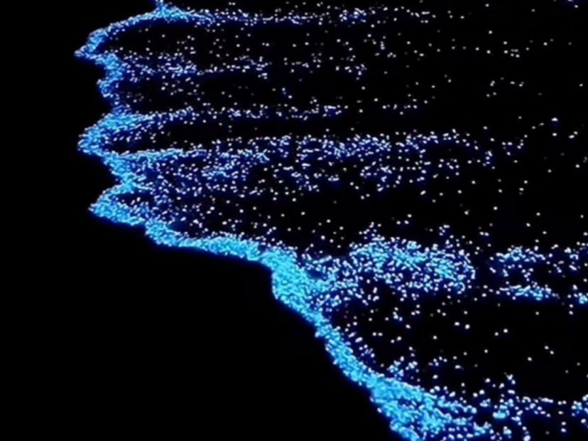 海洋奇觀藍眼淚