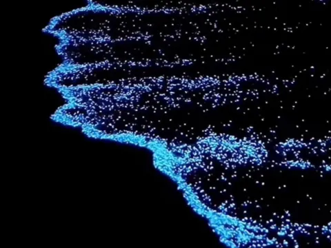 海洋奇觀藍眼淚