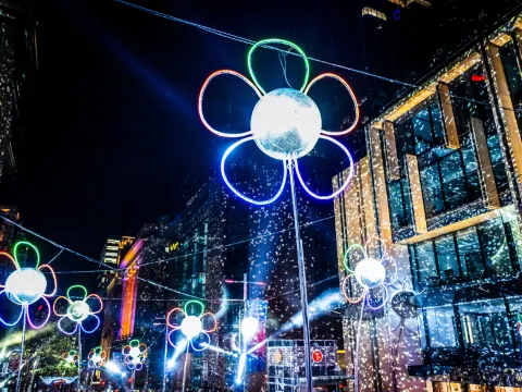 悉尼燈光音樂節