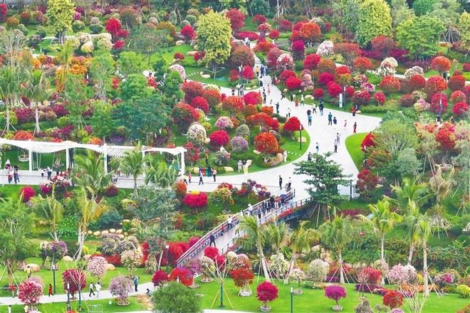 三亞崖州三角梅科博園