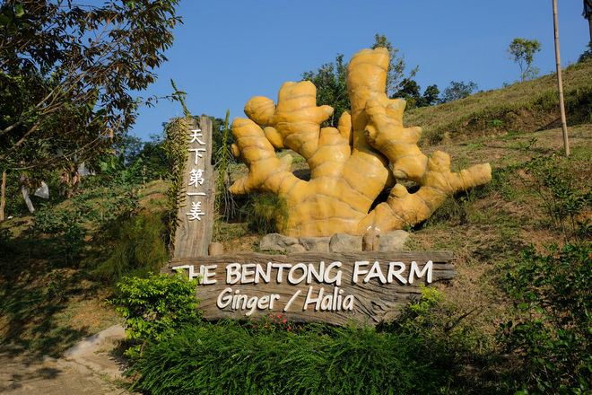 到訪文冬休閒農場