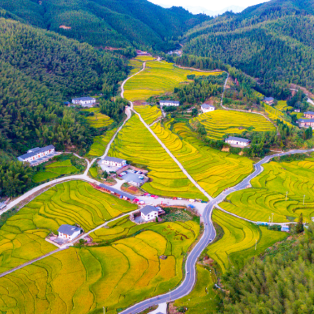 《贛粵風情》中國三大梯田奇觀之一「上堡梯田」、國家4A級風景區「丫山風景區」水雲間天空之鏡、臥龍穀瀑布群、A哆森林、A哆鄉村 【客家獅子頭+客家鹽焗雞宴】贛州美景純玩4天團